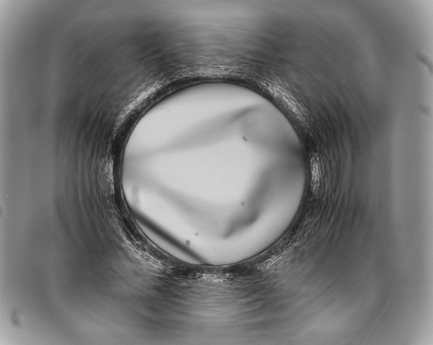 X0000096420684200802141635