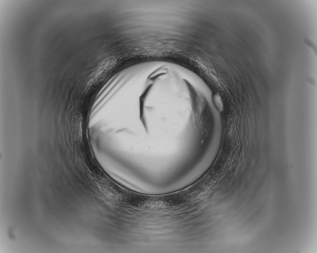 X0000096420685200802141635