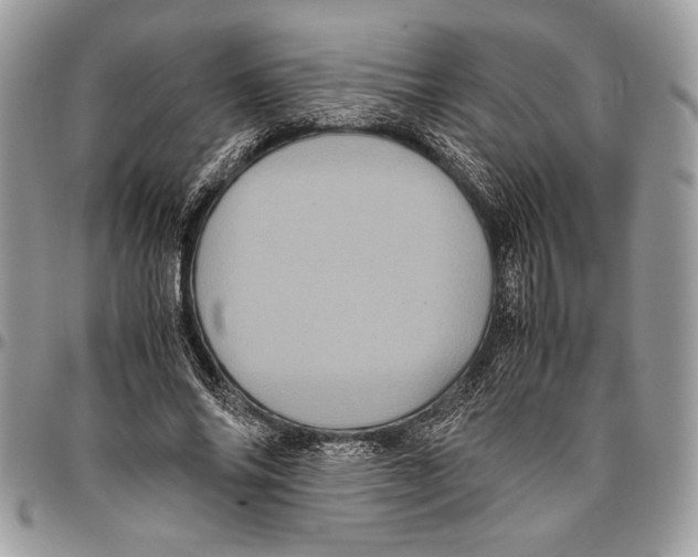 X0000096420686200802141635