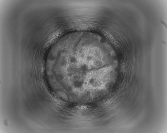 X0000096420687200802141635