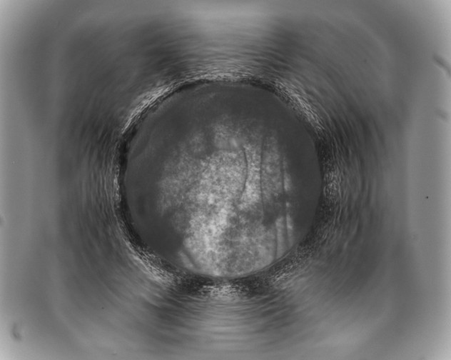 X0000096420688200802141635