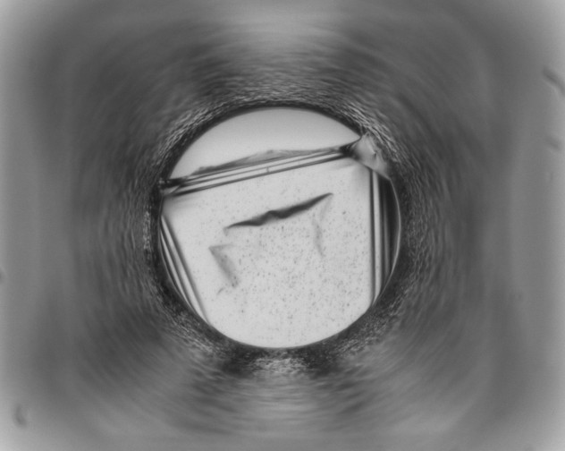 X0000096420689200802141635