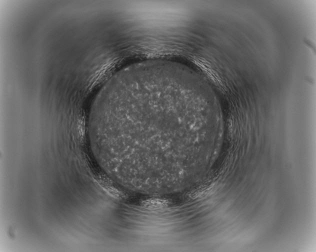 X0000096420691200802141635