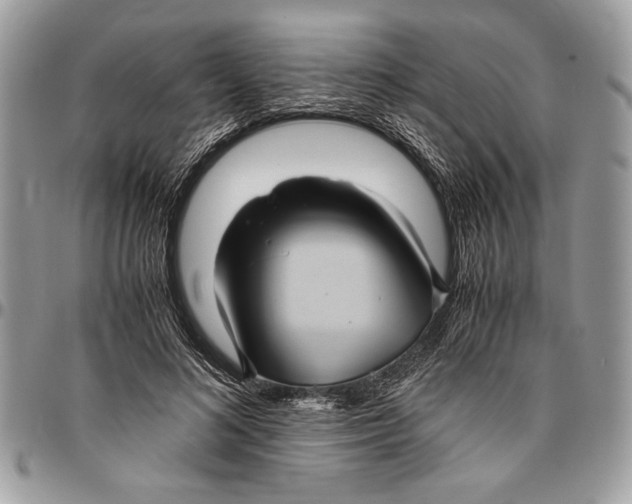 X0000096420692200802141635