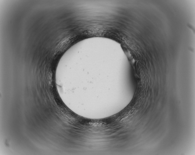 X0000096420693200802141635