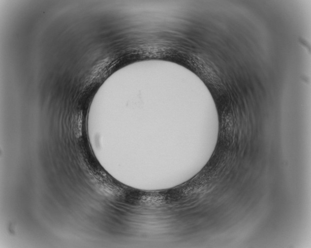 X0000096420694200802141635