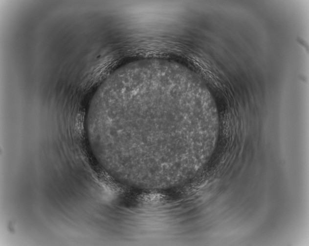 X0000096420695200802141635