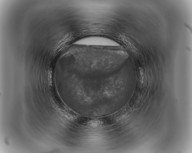 X0000096420696200802141635