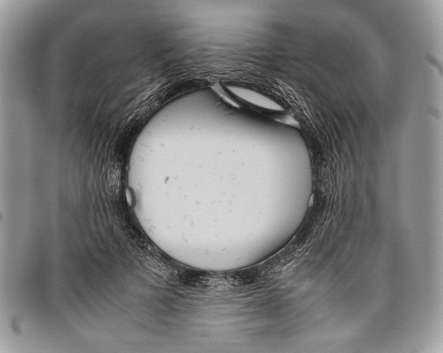 X0000096420697200802141634