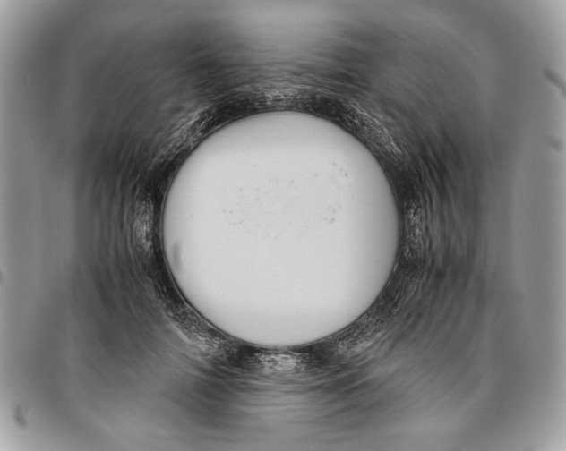 X0000096420698200802141634