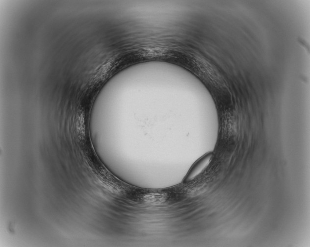 X0000096420700200802141634