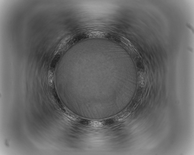 X0000096420701200802141634