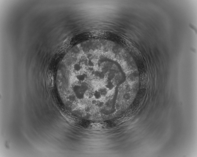 X0000096420703200802141634