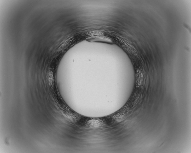 X0000096420704200802141634