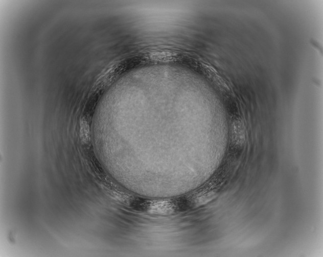 X0000096420705200802141634