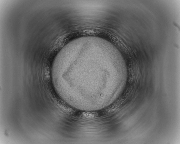 X0000096420706200802141634