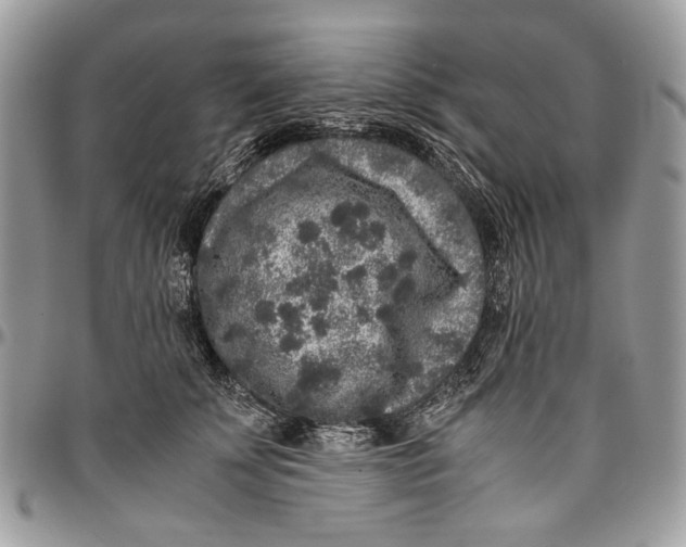 X0000096420707200802141634