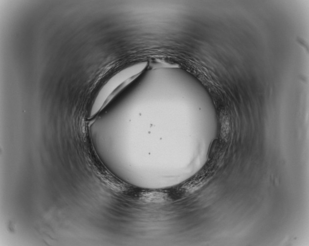 X0000096420708200802141634