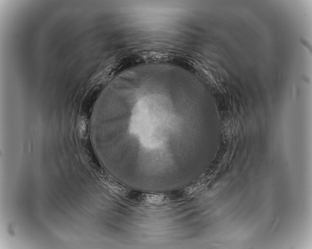 X0000096420709200802141634