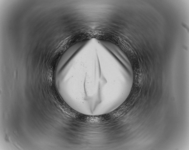 X0000096420710200802141634