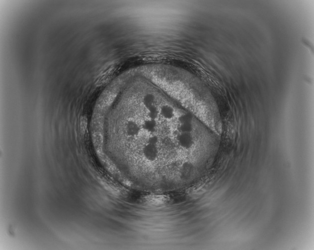 X0000096420711200802141634