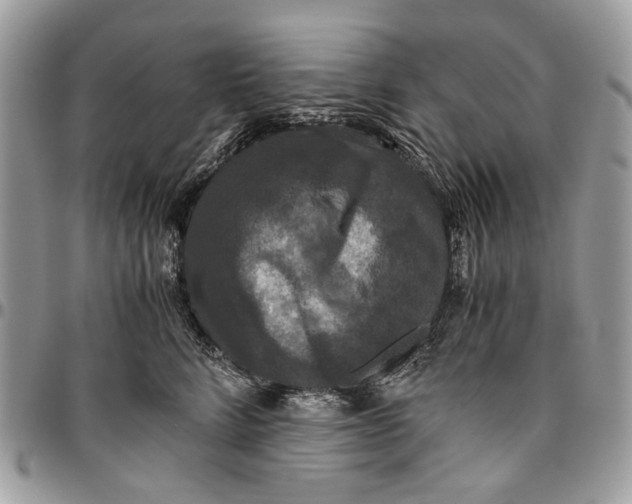 X0000096420712200802141634