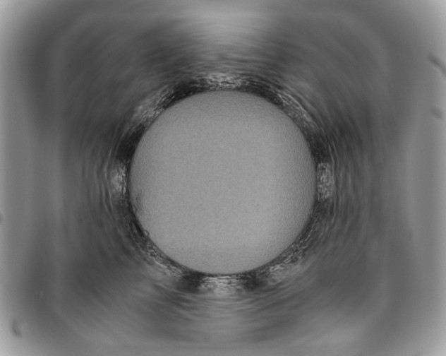 X0000096420713200802141634