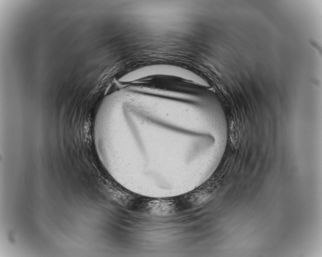 X0000096420714200802141634