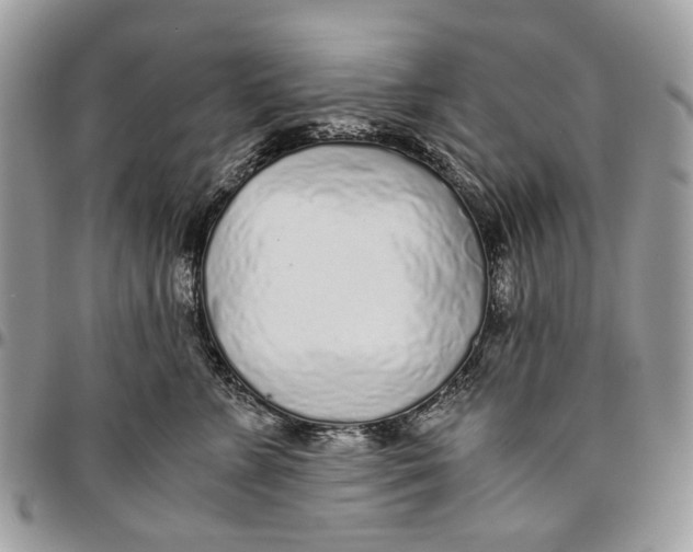 X0000096420715200802141634