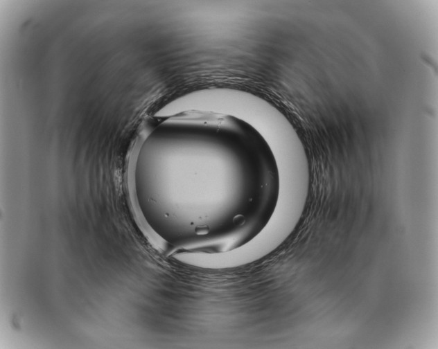 X0000096420716200802141634