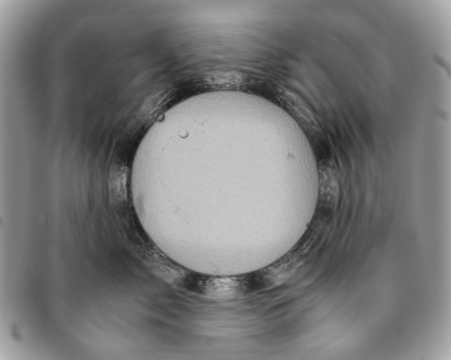 X0000096420717200802141634