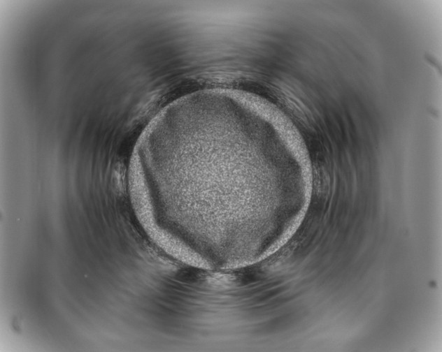 X0000096420718200802141634