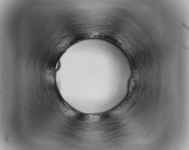 X0000096420719200802141634