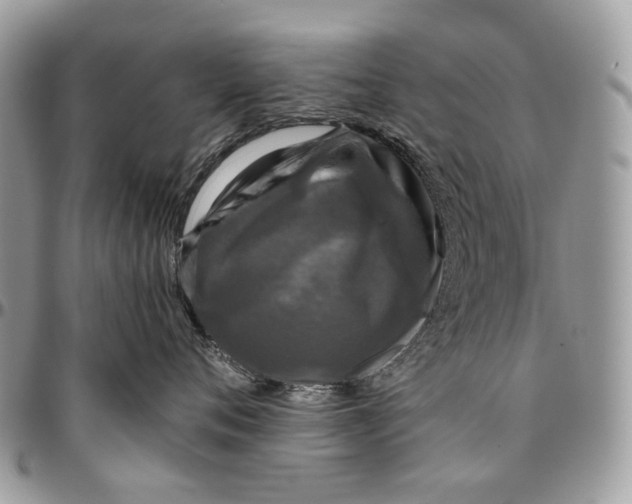 X0000096420720200802141634