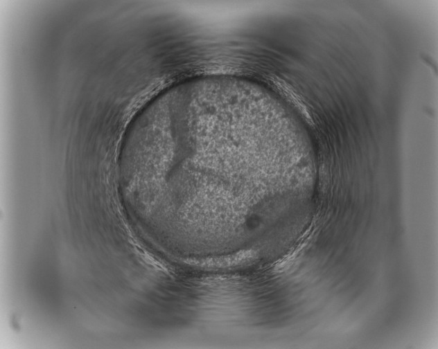 X0000096420721200802141633