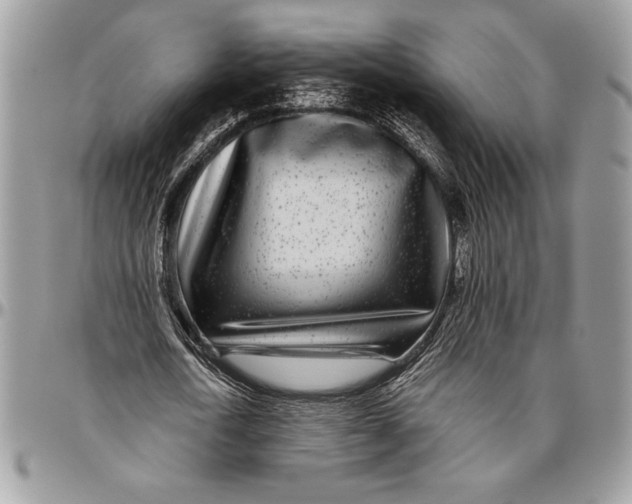 X0000096420722200802141633