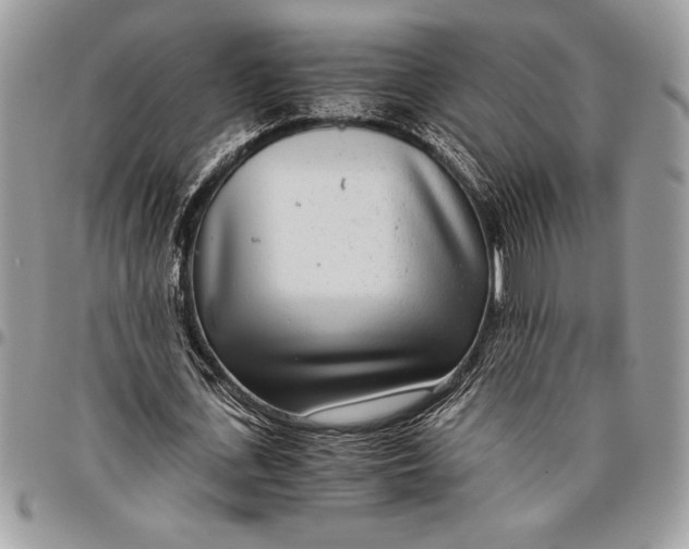 X0000096420723200802141633