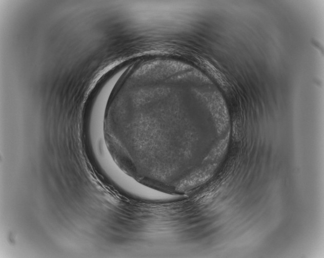 X0000096420724200802141633