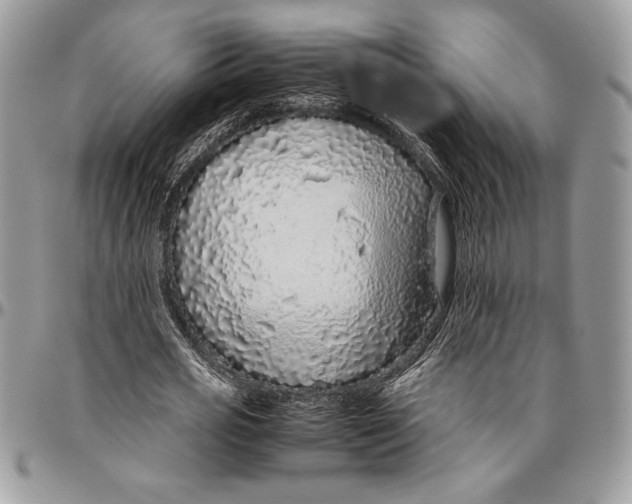 X0000096420725200802141633