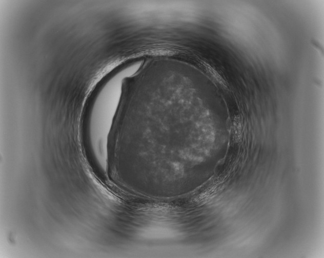 X0000096420726200802141633