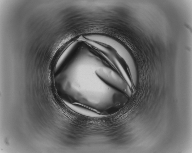 X0000096420727200802141633