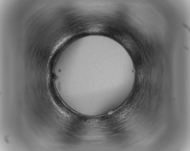 X0000096420728200802141633