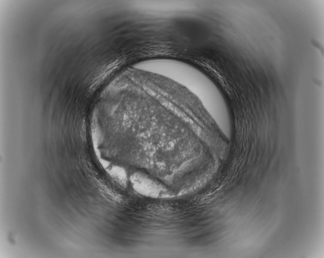 X0000096420729200802141633