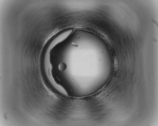 X0000096420730200802141633