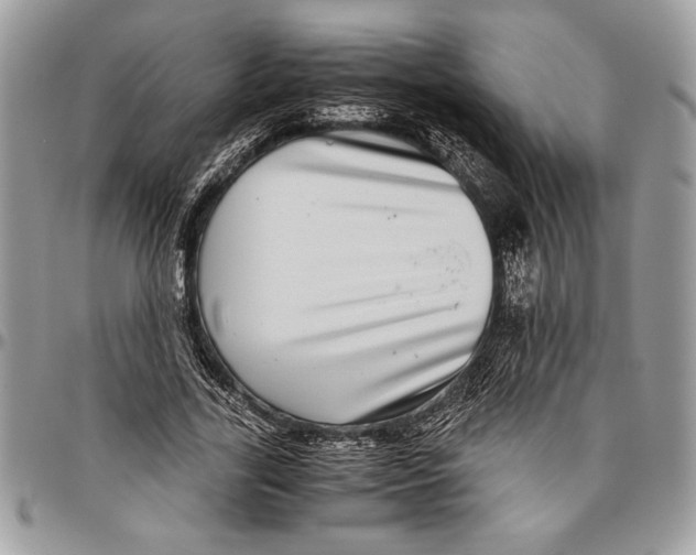 X0000096420731200802141633