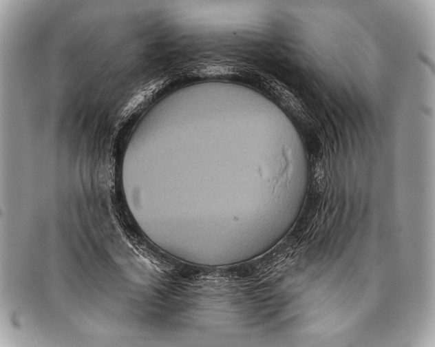 X0000096420732200802141633