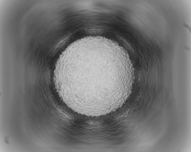 X0000096420733200802141633