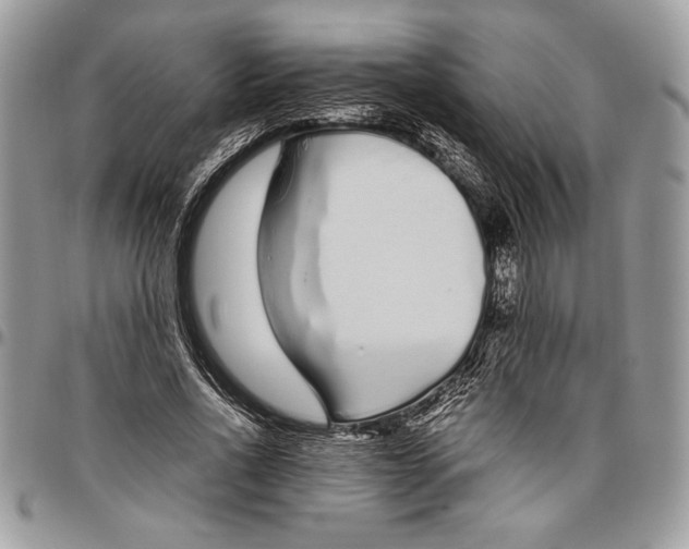 X0000096420734200802141634