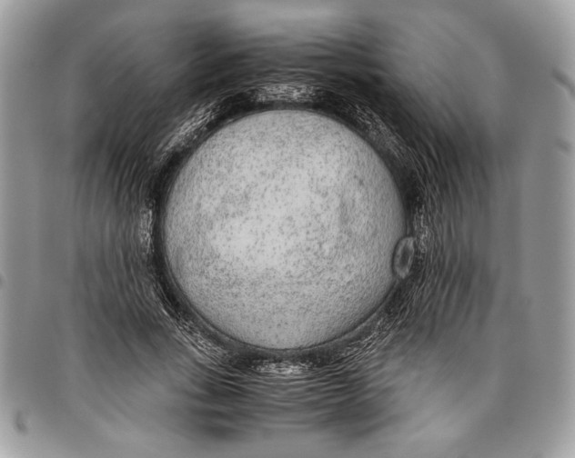 X0000096420735200802141634