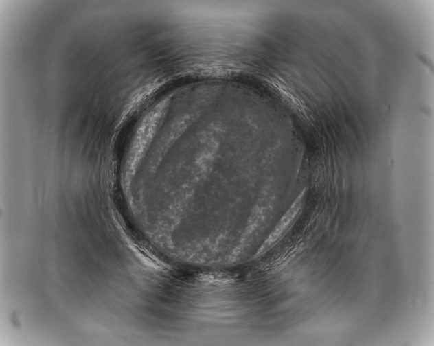 X0000096420736200802141634